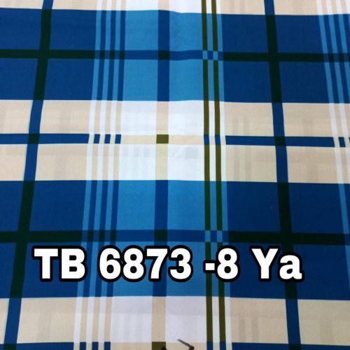 Mã bông: TB6873