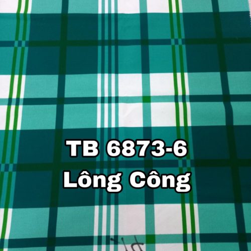 Mã bông: TB6873