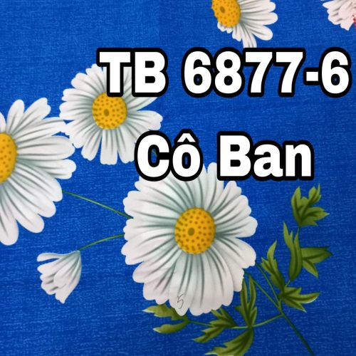 Mã bông: TB6877