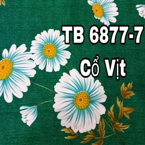 Mã bông: TB6877