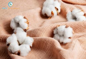Phân biệt vải cotton, cotton poly và cotton TC: Nên chọn loại vải nào cho xưởng may? Tin ngành vải, Blog ngành vải